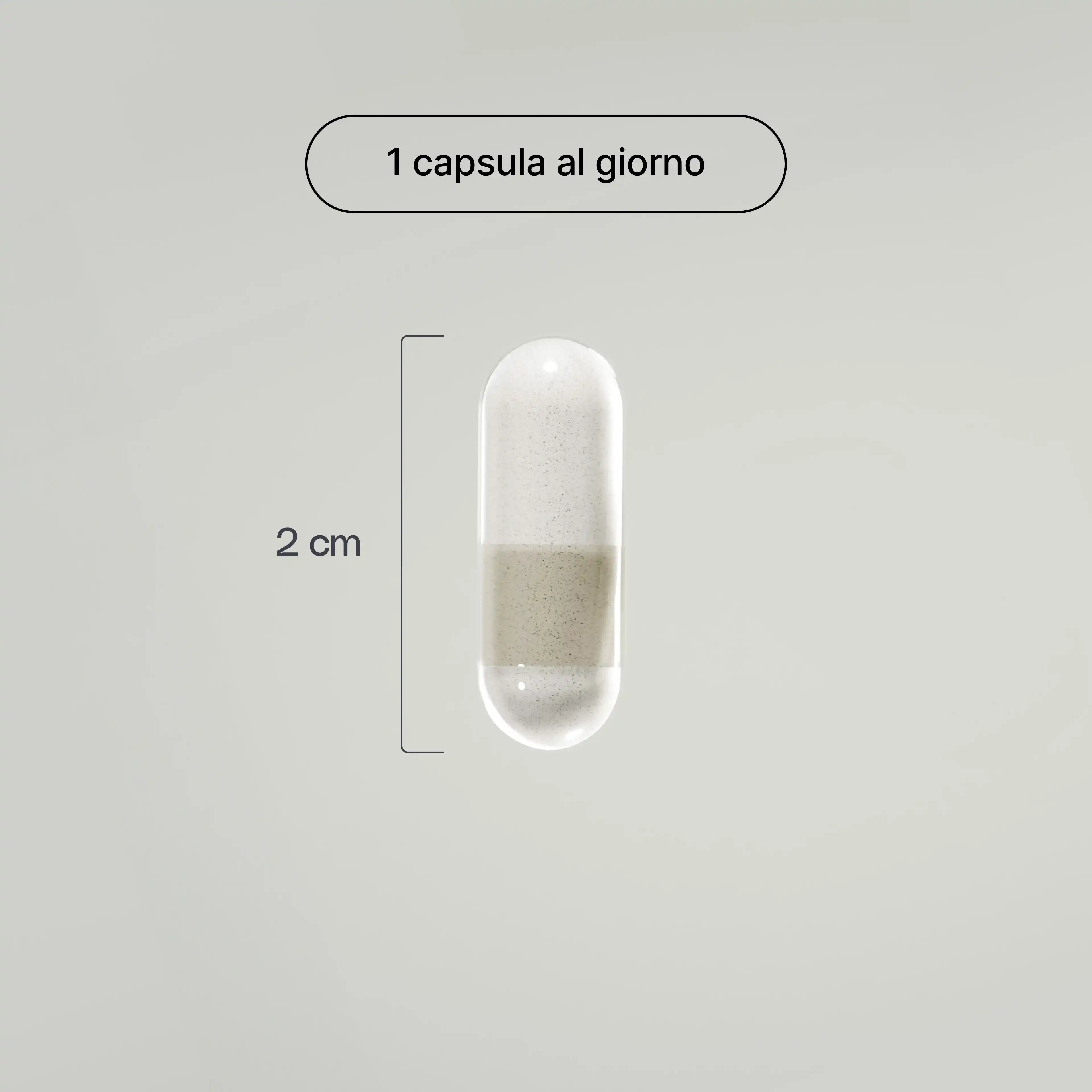 Ansirem - Pura Pharma